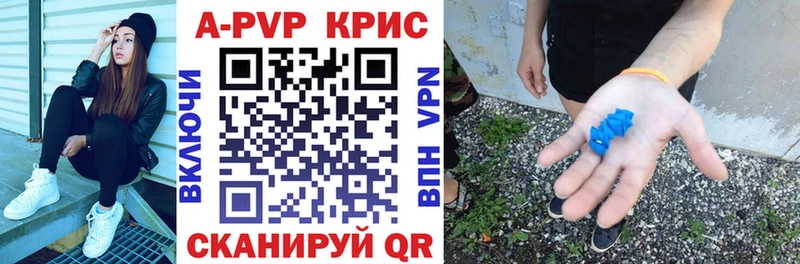 A PVP СК  Высоцк 
