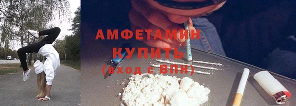 прущие грибы Сосновый Бор