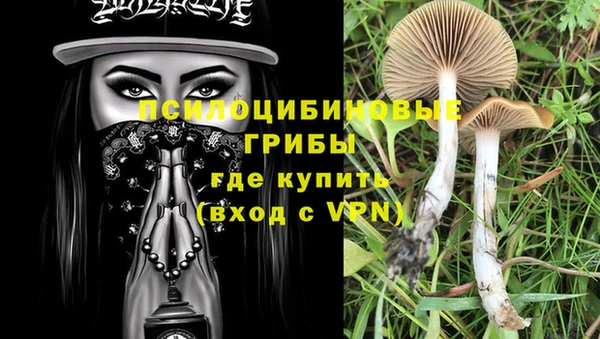 соль ск Аркадак