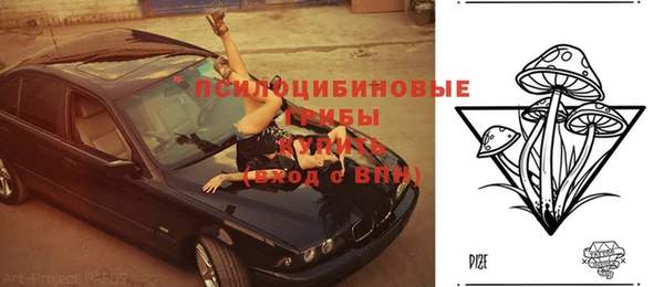 apvp Балахна