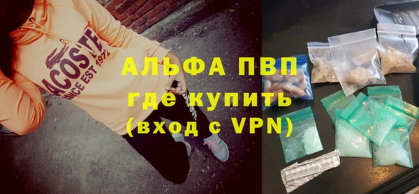 прущие грибы Сосновый Бор
